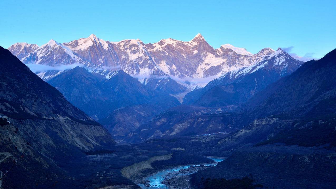 拼多多砍价免费拿软件