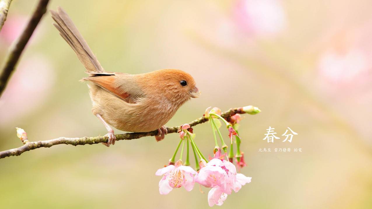 在线快手免费刷活关注