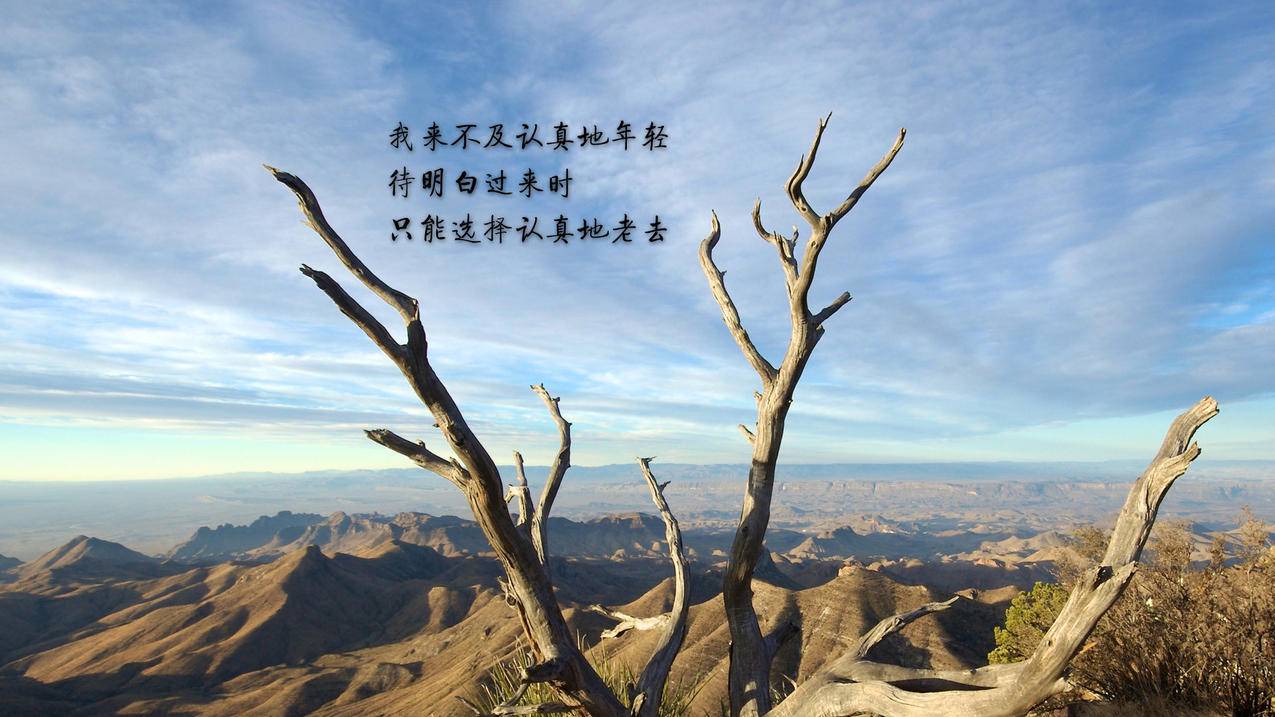 在线刷快手网站平台-快手刷粉推广网站低价,抖音业务平台代理,拼多多店铺刷访客