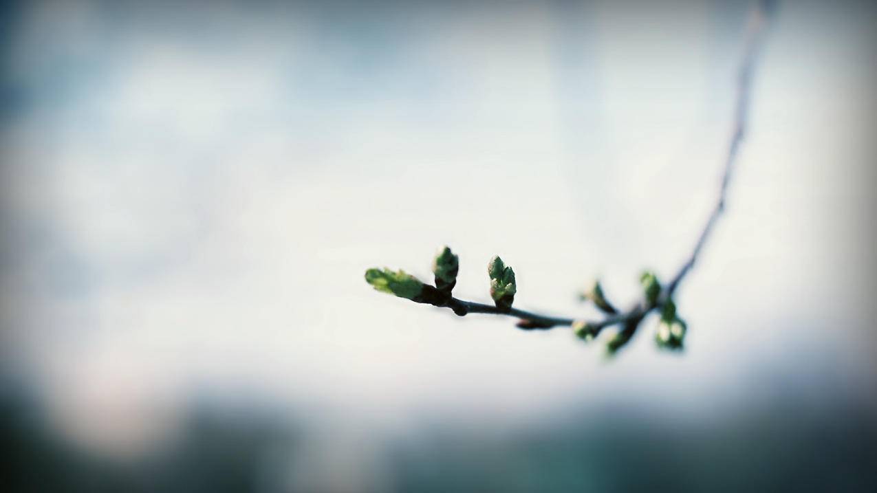 抖音快手点赞自助平台-qq刷赞平台主打空间代刷业务,低价空间刷QQ说说赞,卡盟网k