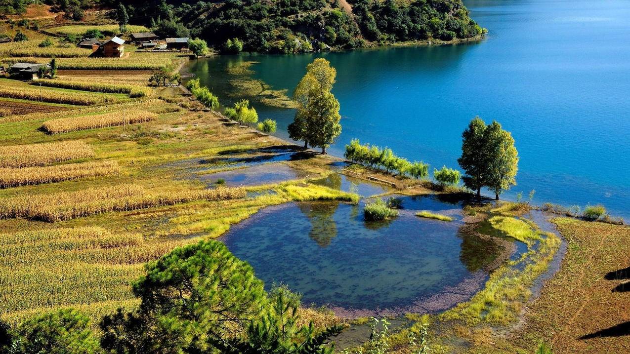 微博刷关注 - 平台刷快手双击-快手点赞关注双击任务软件