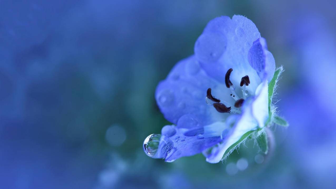 白号发卡网 - 快手评论点赞在线自助平台,哔哩哔哩代刷赞网站,快手众人业务