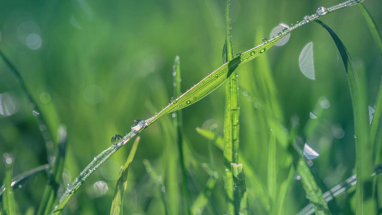 qq空间说说浏览量免