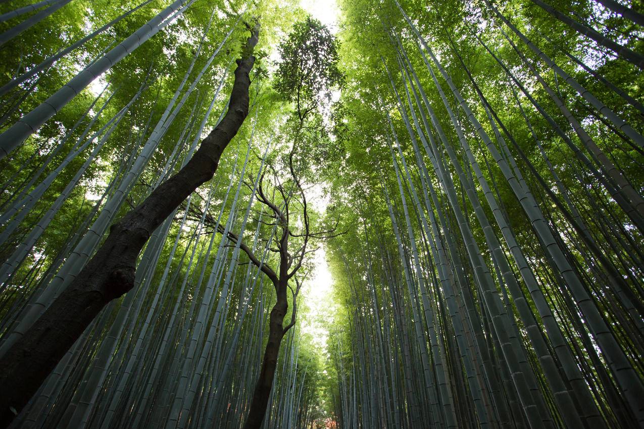 每日送赞网站 - 快手代刷秒到-梦诚卡盟官网