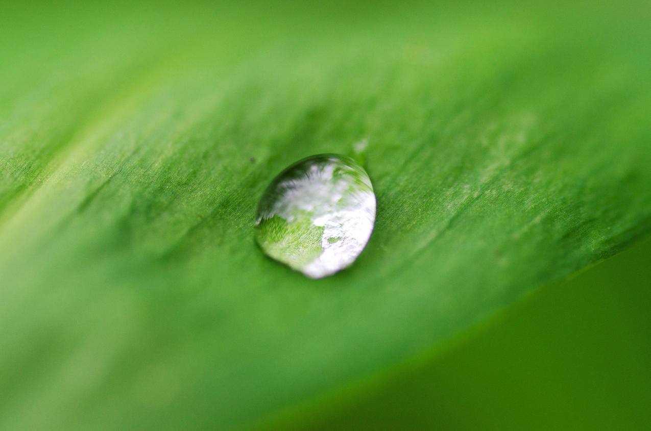 QQ刷免费钻,快手刷五十赞平台,哔哩哔哩低价代刷-思量qq空间说说刷赞