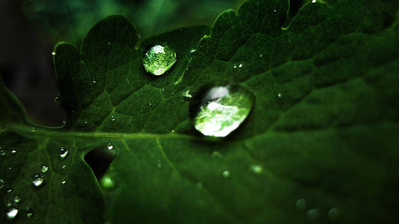 在线刷赞QQ说说 - 刷赞平台雷神_快手刷赞最低价