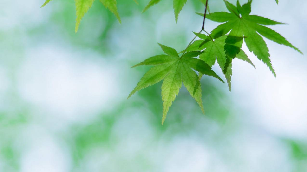 DY增粉软件下载-刷快手点赞平台,拼多多助力代刷平台,快手刷赞苹果手机