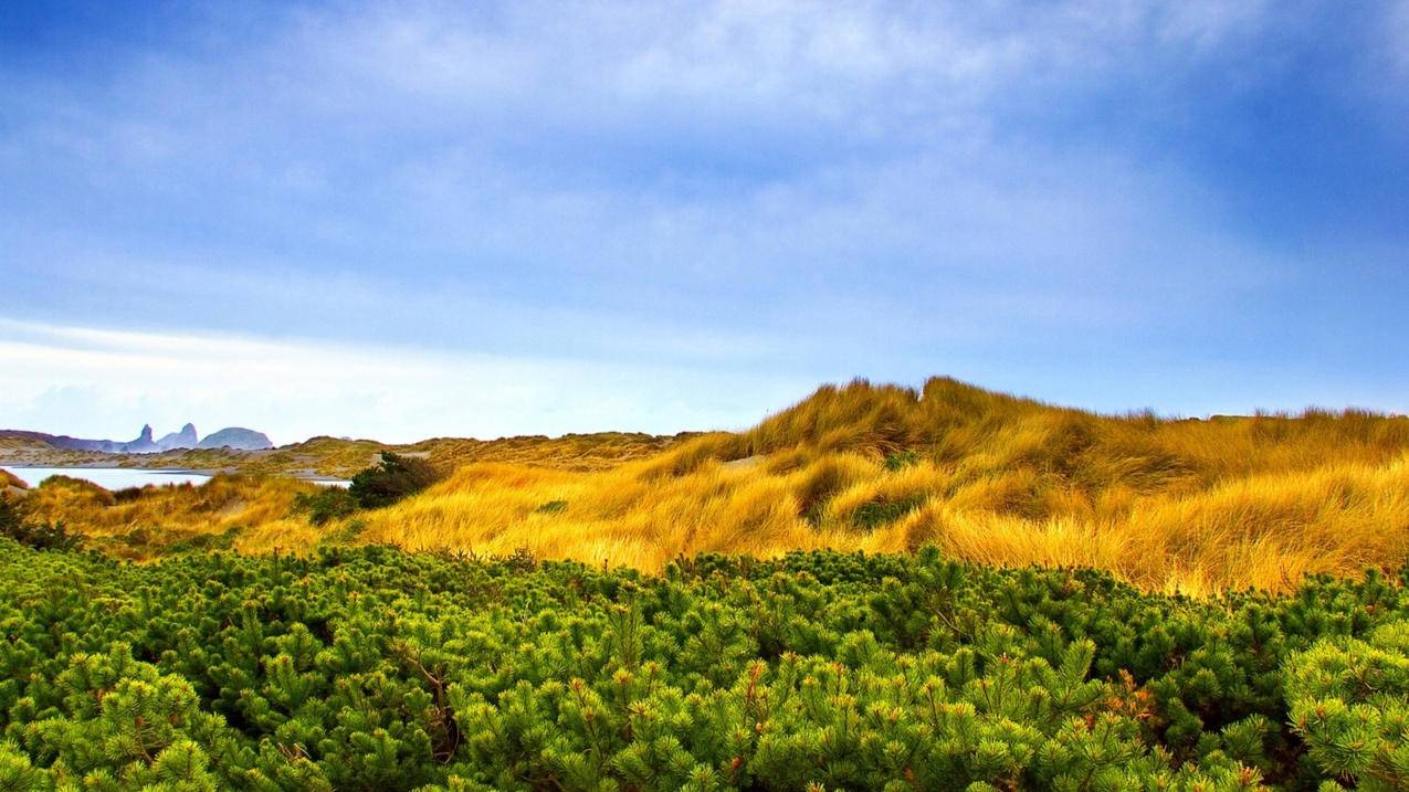 免费快手刷浏览量和双击量的网站 - 在线刷空间人气访问量-触手刷人气成品-神速秒刷快手