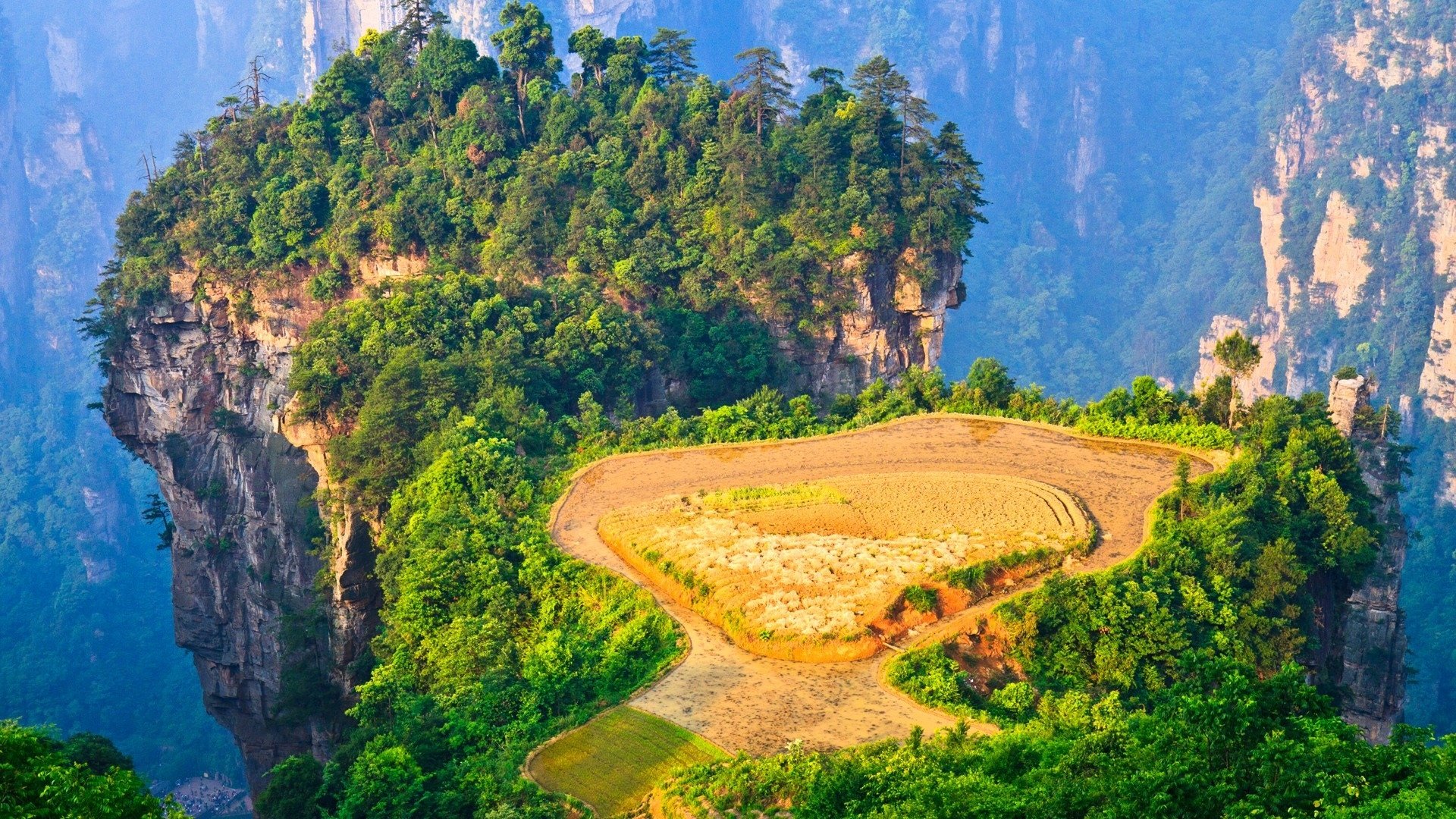 朵朵卡盟平台-快手免