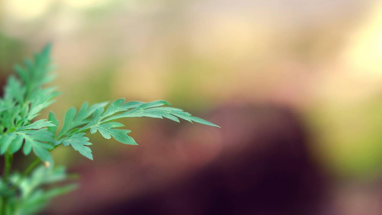 业务最全的代刷网站-快手涨粉平台免费-qq免费刷赞网站云言,全网最稳刷QQ钻