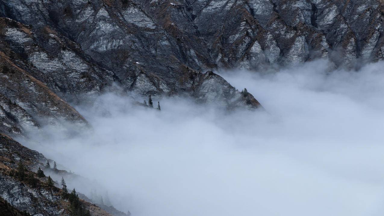 买QQ访客量 - 快手快手秒刷业务网站平台_qq个性赞刷赞软件