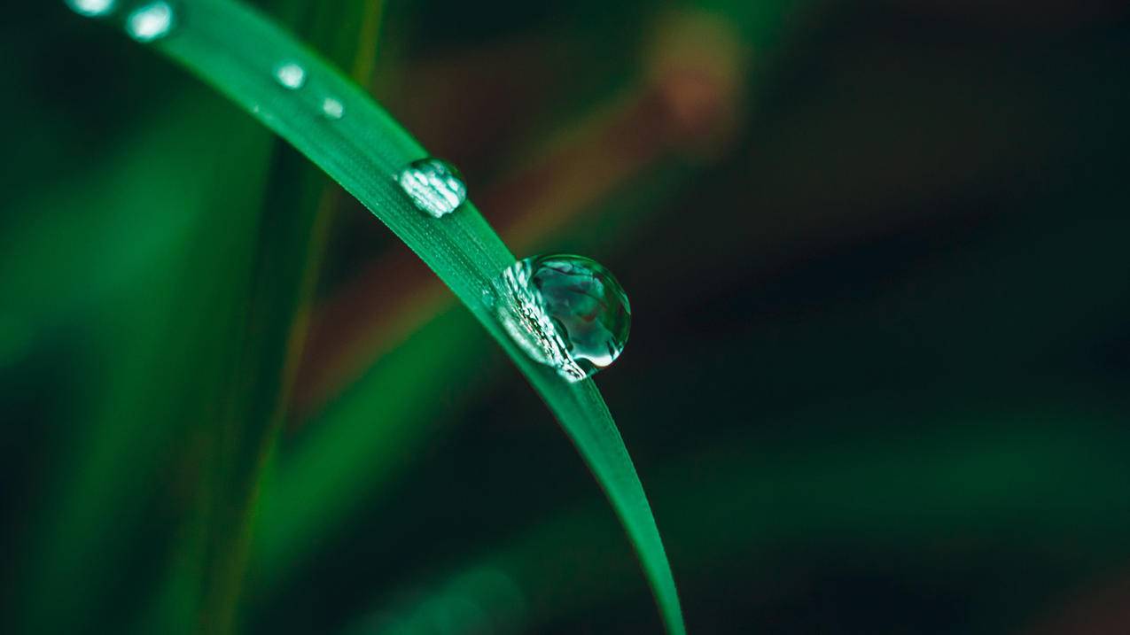 QQ空间业务卡密自助