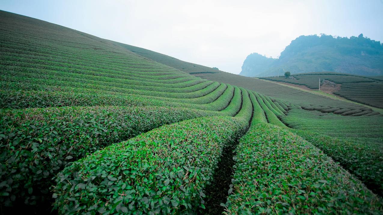 免费刷赞3000 - 快手1元1000粉秒刷,抖音刷点赞粉丝平台,免费刷qq钻 免费刷qq钻6