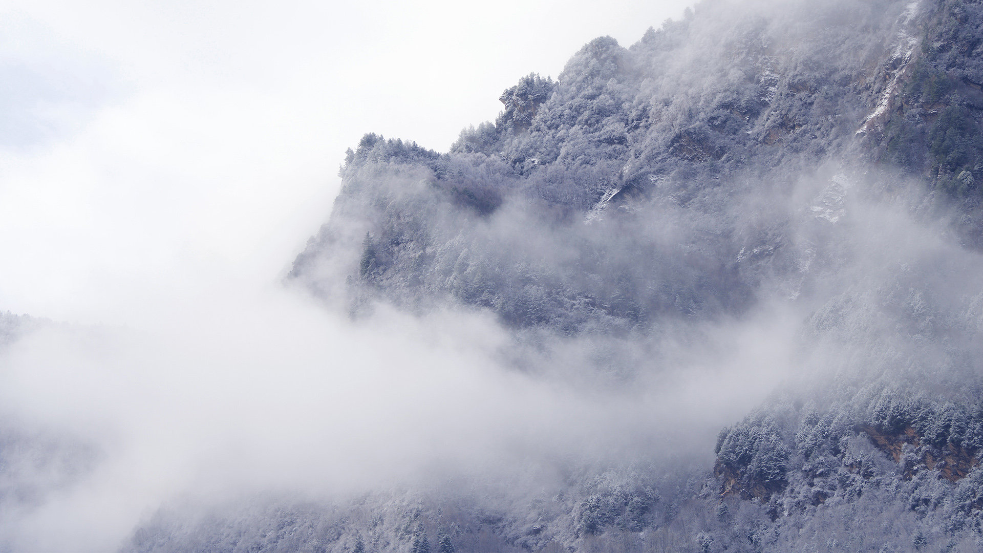 空间赞福利代刷-20