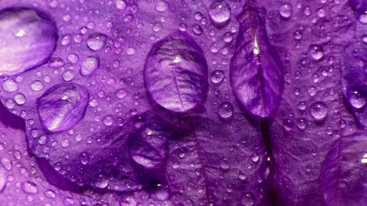 雷神代刷业务平台 -