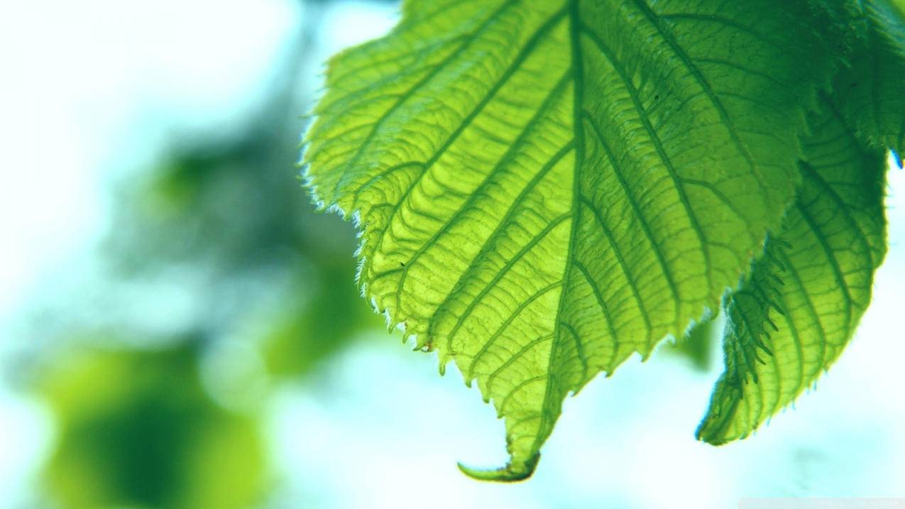 网红业务自助下单平台广西 - qq刷赞网站推广快速,刷点赞赞的快手软件