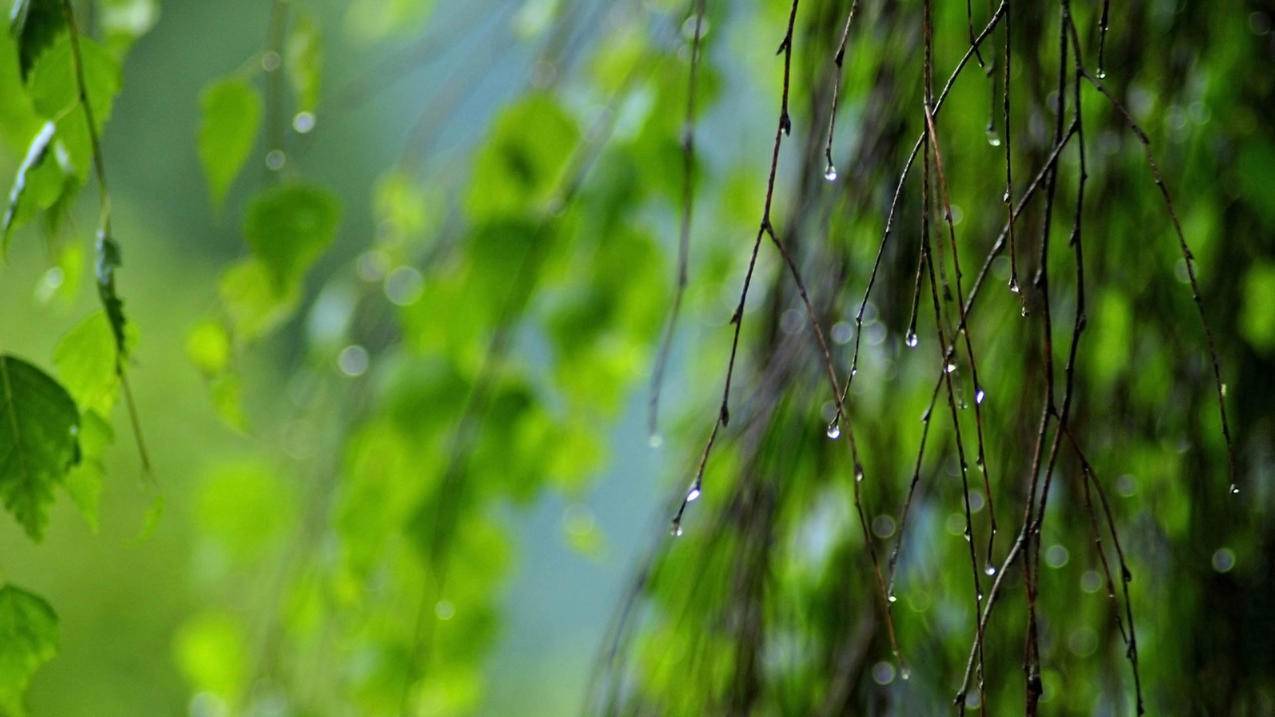 qq空间刷点赞量 - 可乐qq刷赞网站-快手免费刷粉丝代刷-链接直播间刷人气