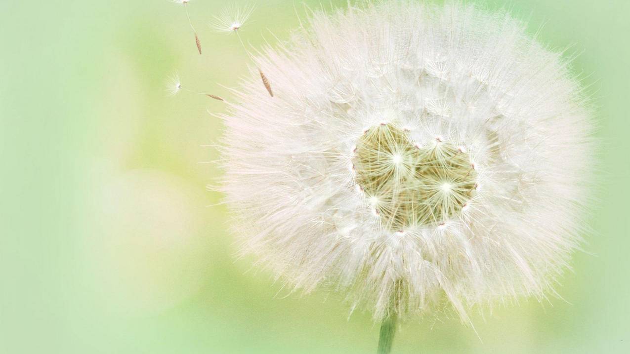 抖音刷人气网站 郑州-刷快手点赞斗蟹,在线空间免费刷人气,球球大作战所有刷东西的网站