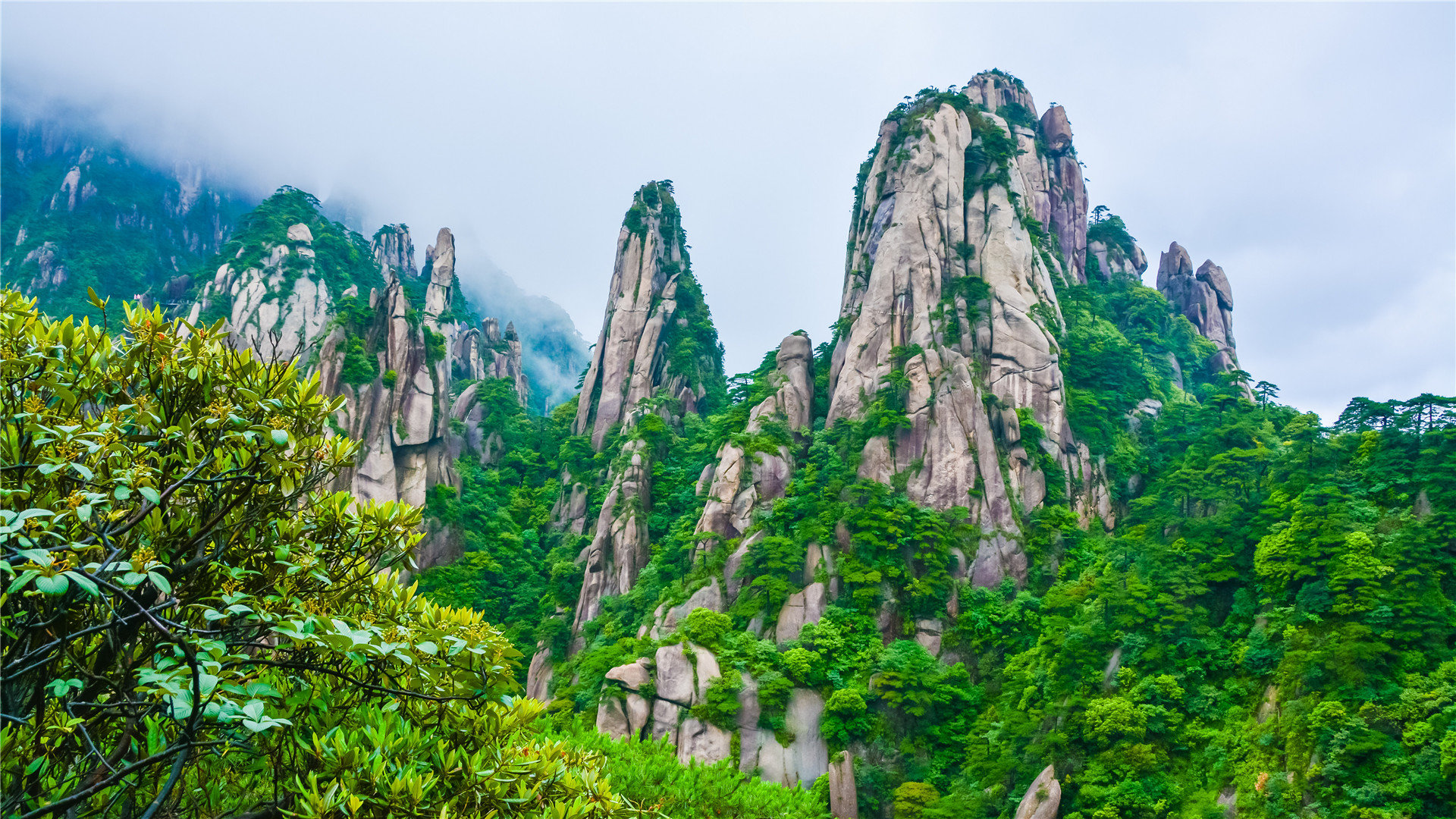 刷空间人气平台墨言最低价,买快手赞的网站,快手赞低价购买网站-拼多多买的窗户刷