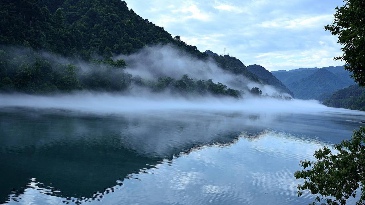 闲鱼关注5000就关