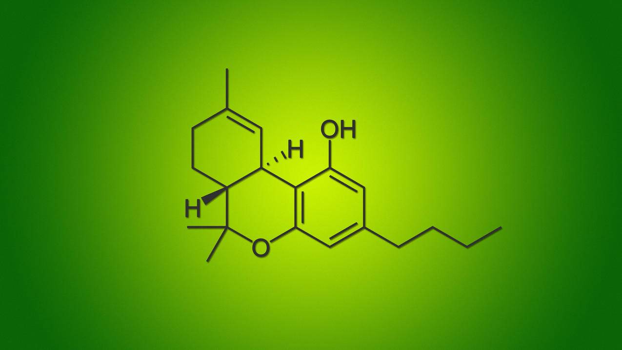 高价qq名赞自助下单平台-搜快手刷赞-快手作品分享业务,王者荣耀刷人气值网址便宜