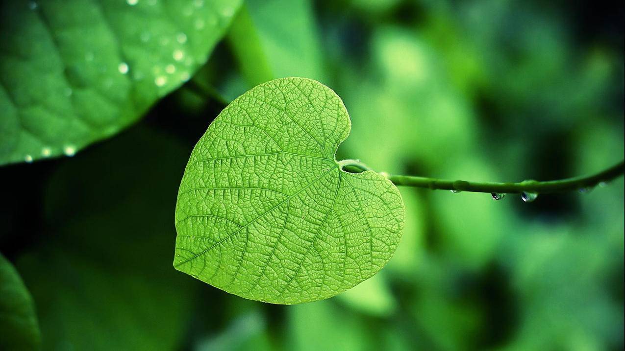 非凡卡盟下载 - qq刷赞的机械人,点赞低价平台